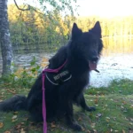 Paytah vt Noorder Erf