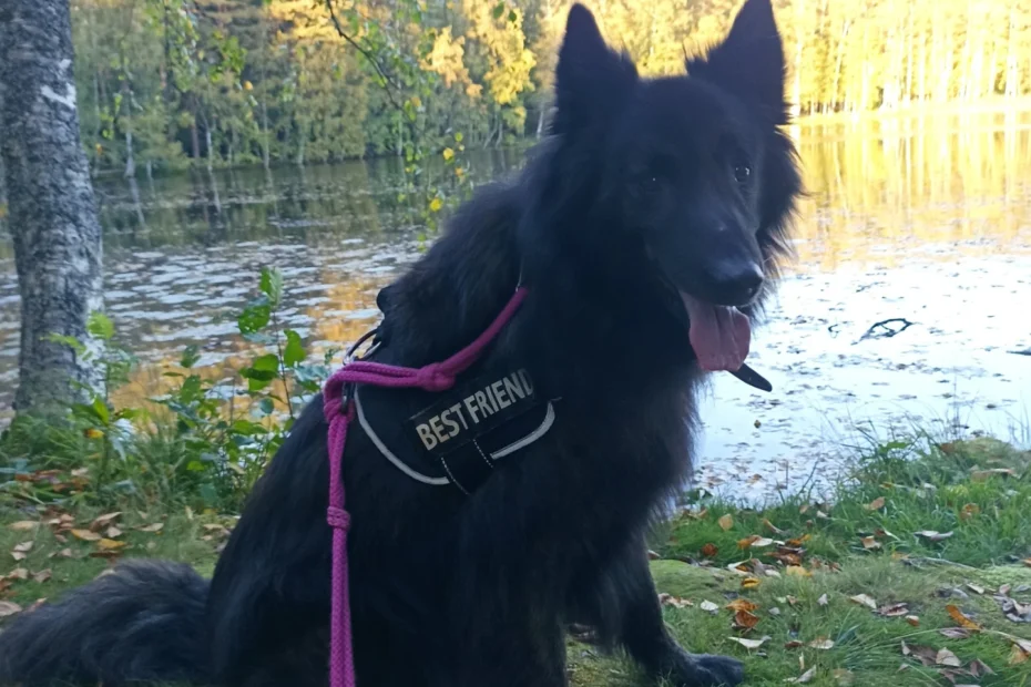 Paytah vt Noorder Erf